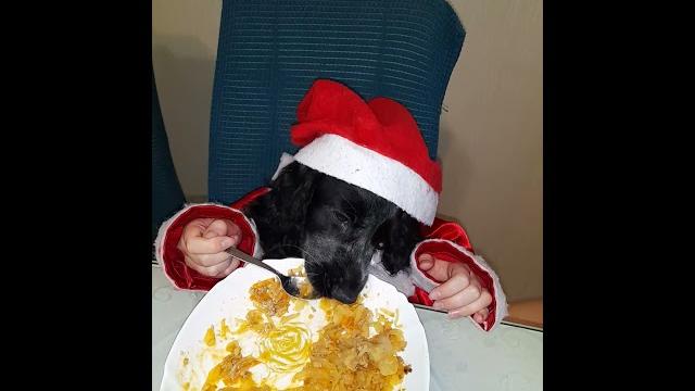с наступающим с наступающим