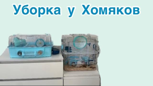 Уборка в клетке у хомяка  Уборка в клетке у хомяка 