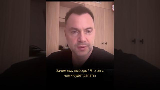 Выборов в Украине не будет. Алексей Арестович Выборов в Украине не будет. Алексей Арестович