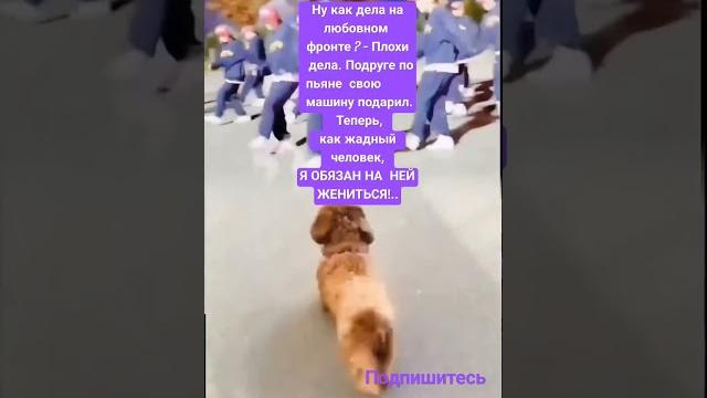 16 декабря 2024 г. 16 декабря 2024 г.