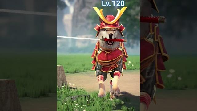vs. The Epic Slap Fest Showdown! #wolfgame vs. The Epic Slap Fest Showdown! #wolfgame
