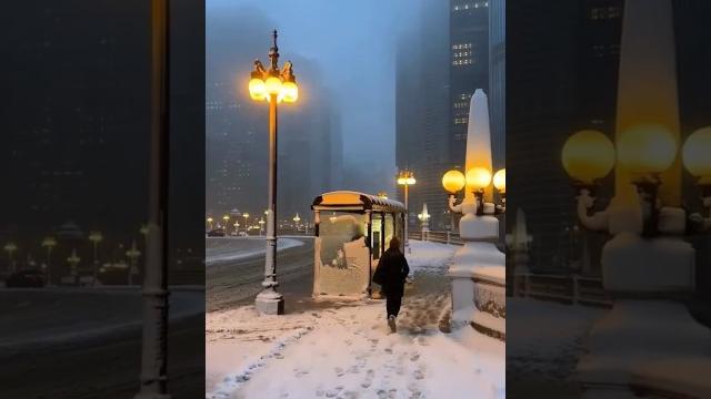 Chicago snowflakes ️ #shorts #ytshorts #snow #snowfall #snowflakes #chicago #chicangowinter Chicago snowflakes ️ #shorts #ytshorts #snow #snowfall #snowflakes #chicago #chicangowinter