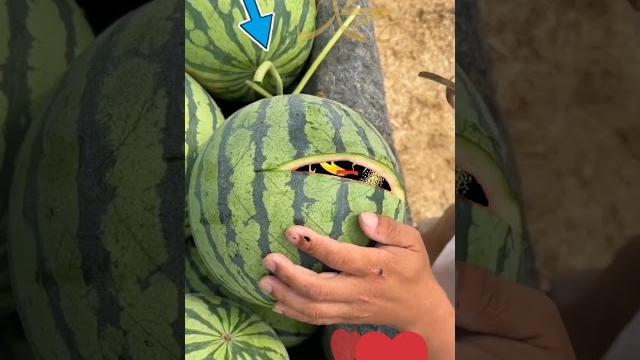 payg'ambarimiz Muhammad s.a.v #tiktok #shortvideo #video #short #video #trending #instagram payg'ambarimiz Muhammad s.a.v #tiktok #shortvideo #video #short #video #trending #instagram