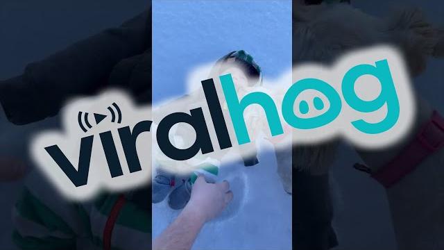 Baby's First Snow Angel || ViralHog Baby's First Snow Angel || ViralHog