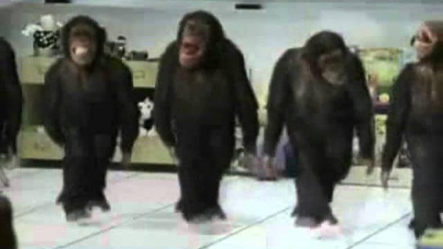 Happy Birthday, Dancing Chimps Style! Happy Birthday, Dancing Chimps Style!