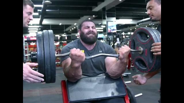140 KG / 309 LBS Seated Biceps Curl Levan Saginashvili Armwrestling Training In Dubai #shorts 140 KG / 309 LBS Seated Biceps Curl Levan Saginashvili Armwrestling Training In Dubai #shorts