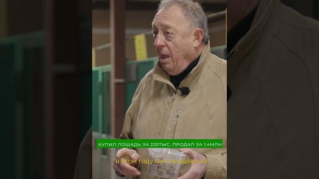 Секреты продажи пони за 1,4 миллиона! Секреты продажи пони за 1,4 миллиона!