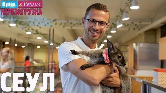 Сеул. Орёл и Решка. Перезагрузка #26 Сеул. Орёл и Решка. Перезагрузка #26