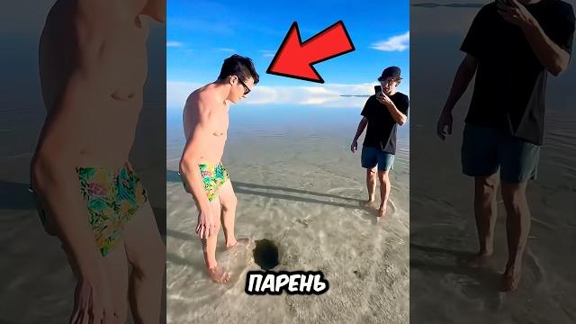 Никогда не заползай в дырку в озере Никогда не заползай в дырку в озере