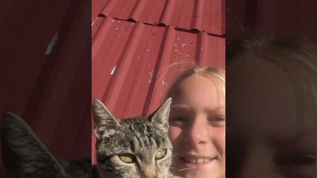 She was a great cat She was a great cat