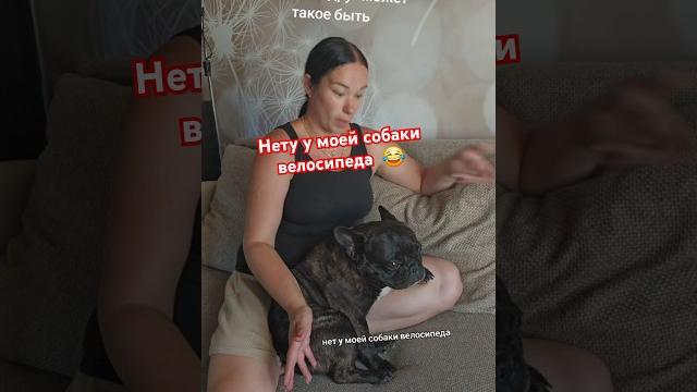 Французский бульдог, юмор. Французский бульдог, юмор.