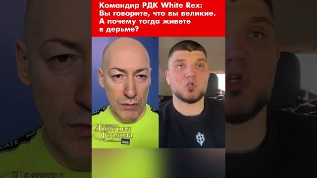 Командир РДК White Rex: Вы говорите, что вы великие. А почему тогда живете в дерьме? #shorts Командир РДК White Rex: Вы говорите, что вы великие. А почему тогда живете в дерьме? #shorts