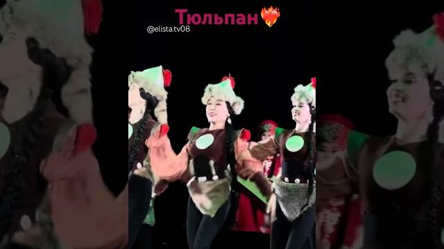 Тюльпан #калмыкия #элиста Тюльпан #калмыкия #элиста