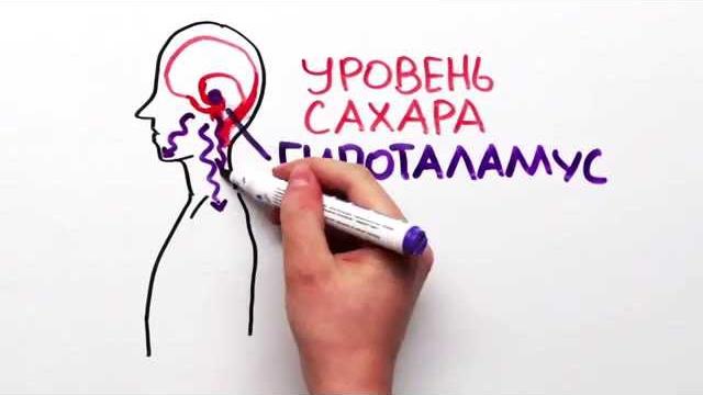 Сколько человек может прожить без еды? Сколько человек может прожить без еды?