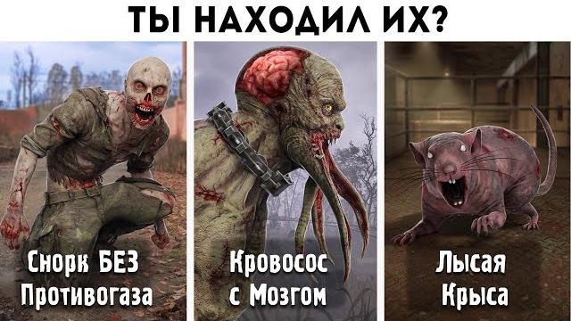 40 ФАКТОВ - МОНСТРЫ из STALKER 2 40 ФАКТОВ - МОНСТРЫ из STALKER 2