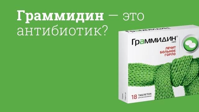Граммидин: инструкция по применению Граммидин: инструкция по применению
