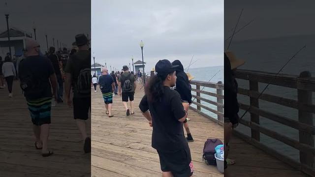 San Diego’s Oceanside Pier: Peaceful Beach Walks & Views #Oceanside #shorts #californiausa #usa San Diego’s Oceanside Pier: Peaceful Beach Walks & Views #Oceanside #shorts #californiausa #usa