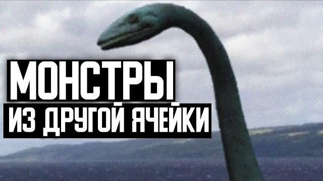 Животные из-за ледяной стены заселили Австралию. Животные из-за ледяной стены заселили Австралию.