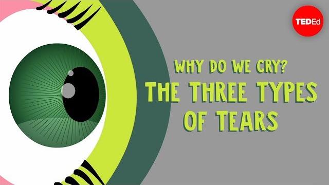 Why do we cry? The three types of tears - Alex Gendler Why do we cry? The three types of tears - Alex Gendler