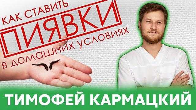 LEECHES. HOW TO INSTALL at home? Timofey Karmatsky LEECHES. HOW TO INSTALL at home? Timofey Karmatsky