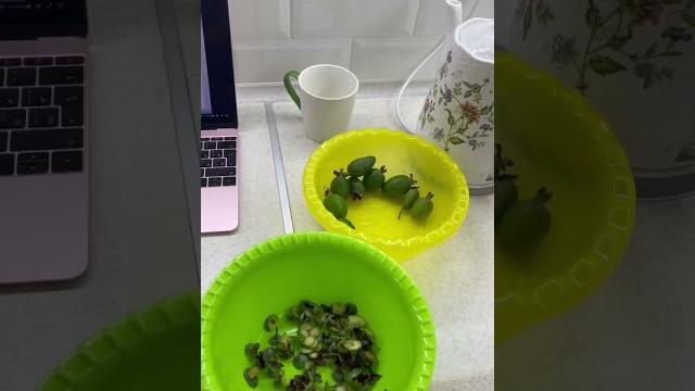 Фейхоа с мёдом Фейхоа с мёдом