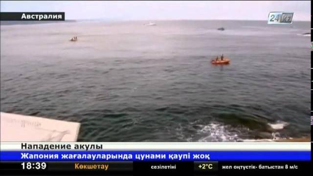 В Австралии акула напала на женщину и утащила ее в океан В Австралии акула напала на женщину и утащила ее в океан