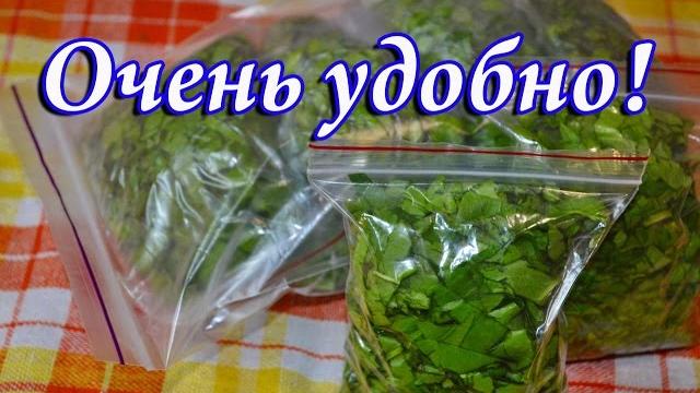 Щавель на зиму Щавель на зиму