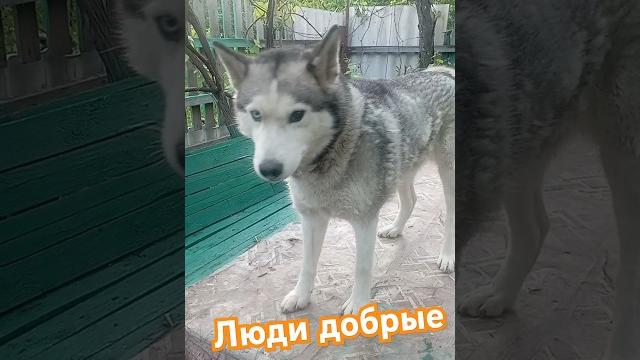 самогонный аппарат #юмор самогонный аппарат #юмор
