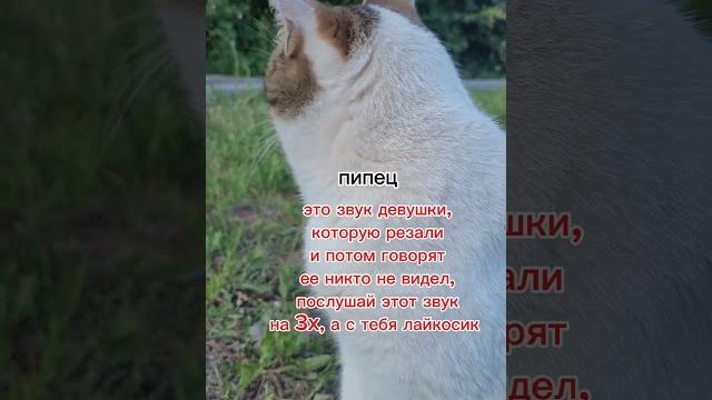 17 июня 2024 г. 17 июня 2024 г.