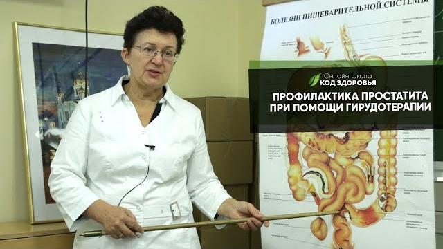 Профилактика простатита, при помощи гирудотерапии. Профилактика простатита, при помощи гирудотерапии.