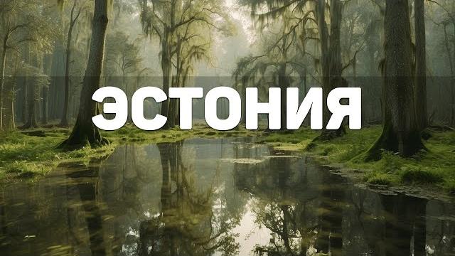 Путешествие по Эстонии | Природа Эстонии Путешествие по Эстонии | Природа Эстонии