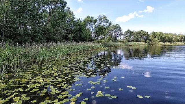 Природа Беларуси. Природа Беларуси.