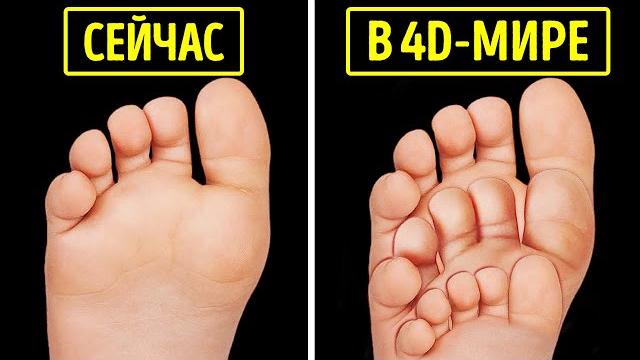 Как бы вы изменились в четырехмерном пространстве? Как бы вы изменились в четырехмерном пространстве?