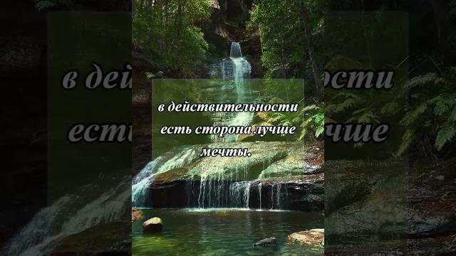 Лучшая сторона Лучшая сторона