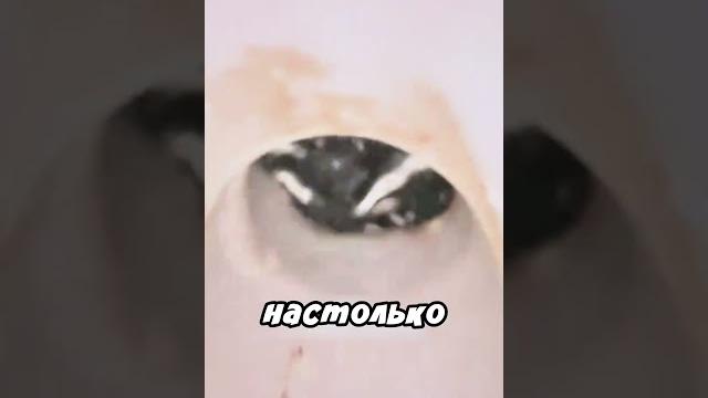 Айфон упал прямо в унитаз Айфон упал прямо в унитаз