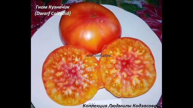 КОЛЛЕКЦИЯ ГНОМОВ - урожайные сорта КОЛЛЕКЦИЯ ГНОМОВ - урожайные сорта