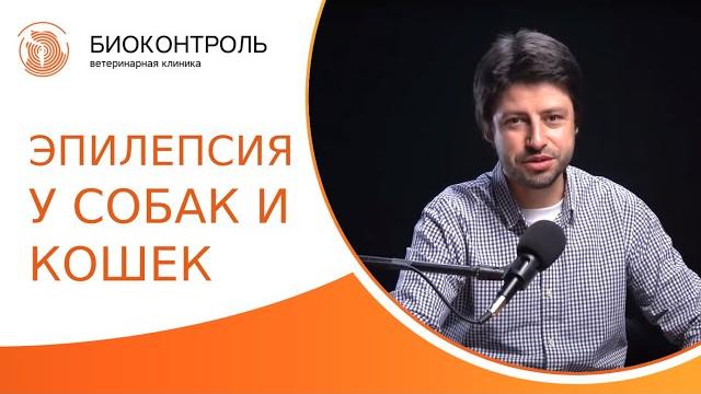 Эпилепсия у собак и кошек: какие бывают приступы, когда начать лечение? Эпилепсия у собак и кошек. Эпилепсия у собак и кошек: какие бывают приступы, когда начать лечение? Эпилепсия у собак и кошек.