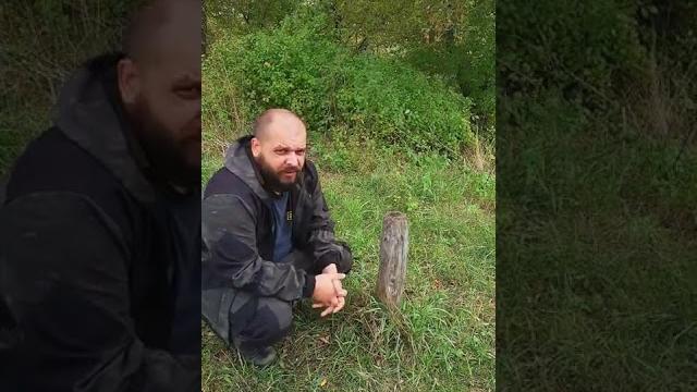 Не давайте бобрам грызть деревья Не давайте бобрам грызть деревья