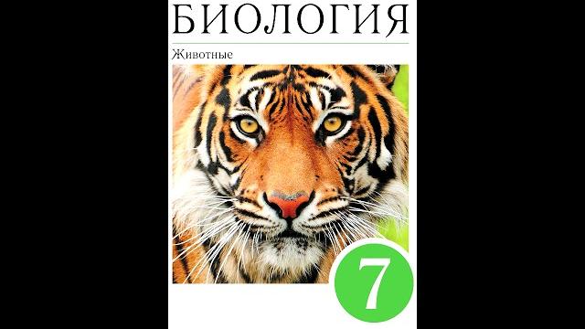 § 35 Отряд млекопитающих § 35 Отряд млекопитающих