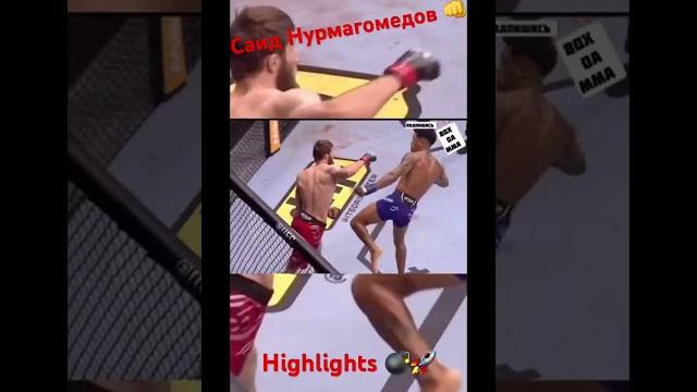 Саид Нурмагомедов vs Де Оливейра | заруба / #mma #мма #смешанныеединоборства #fight #бой Саид Нурмагомедов vs Де Оливейра | заруба / #mma #мма #смешанныеединоборства #fight #бой