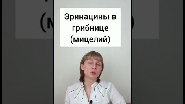 Ежовик для нервной системы Доктор Лисенкова #shorts Ежовик для нервной системы Доктор Лисенкова #shorts
