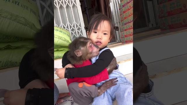 Ai Tran loves YoYo JR so much #shorts Ai Tran loves YoYo JR so much #shorts