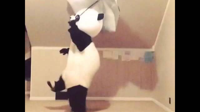 Panda Twerk Panda Twerk