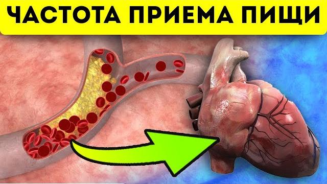 Вы поразитесь узнав как важны интервалы между едой Вы поразитесь узнав как важны интервалы между едой