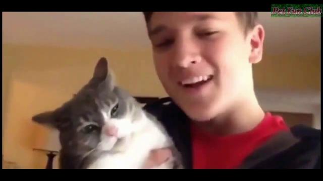 Смешные видео про кошек и собак Смешные видео про кошек и собак