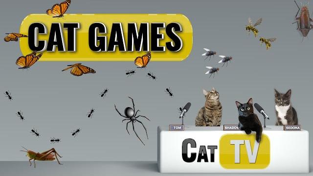Cat Games | Ultimate Cat TV Bugs and Butterflies Compilation Vol 2 | Videos for Cats to Watch Cat Games | Ultimate Cat TV Bugs and Butterflies Compilation Vol 2 | Videos for Cats to Watch