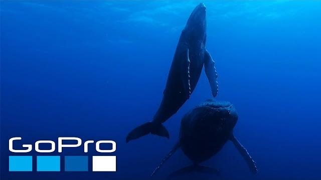 GoPro: The Raw Beauty of Our Planet Earth in 4K GoPro: The Raw Beauty of Our Planet Earth in 4K