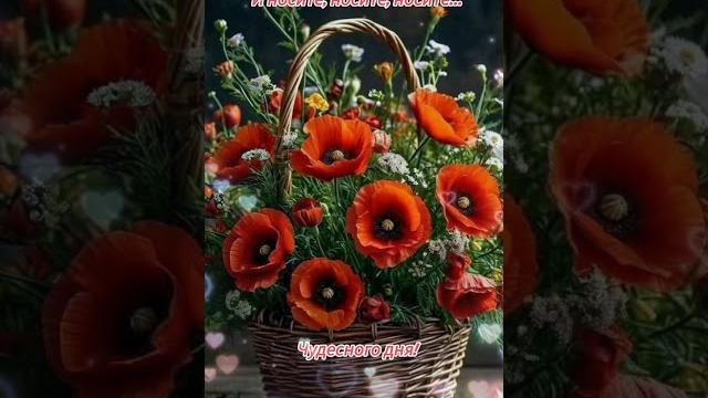 Доброе утро,хорошего дня открытки на каждый день #открытка #доброеутро #видеооткрытка #доброеутречко Доброе утро,хорошего дня открытки на каждый день #открытка #доброеутро #видеооткрытка #доброеутречко