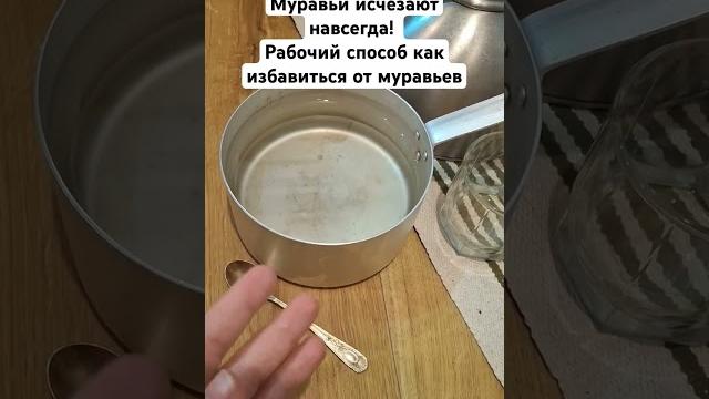 Муравьи исчезают навсегда! Рабочий способ как избавиться от муравьев #огород #муравьи #сад #дача Муравьи исчезают навсегда! Рабочий способ как избавиться от муравьев #огород #муравьи #сад #дача
