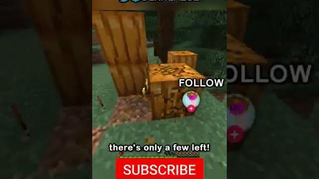 Minecraft, But Block Drops Are Random AND I Have Half A Heart... Minecraft, But Block Drops Are Random AND I Have Half A Heart...